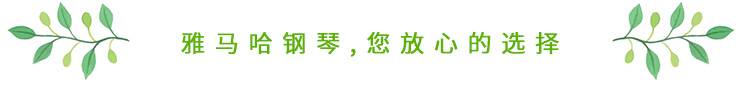 这才是真相：绿色关爱，环球360的环境政策