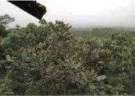 这才是真相：绿色关爱，环球360的环境政策