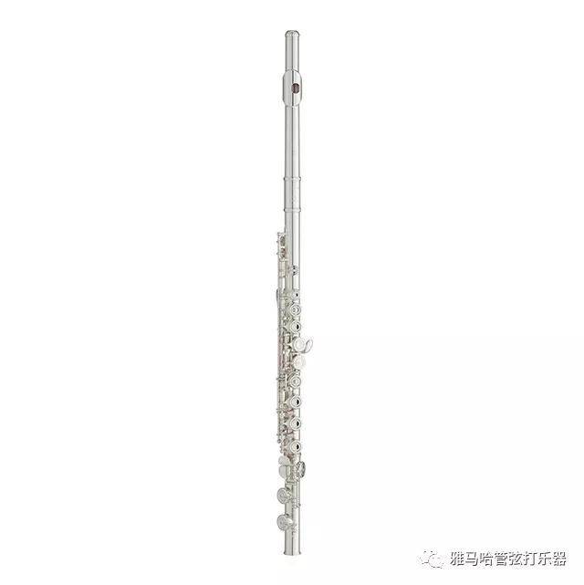 环球360新风管长笛