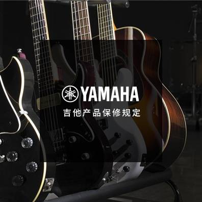 吉他、贝斯和音箱