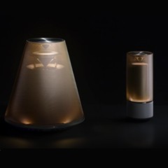 活动回顾:环球360LSX系列亮相以“灯光和声音同时出现的立体艺术”为主题的天然艺术展
